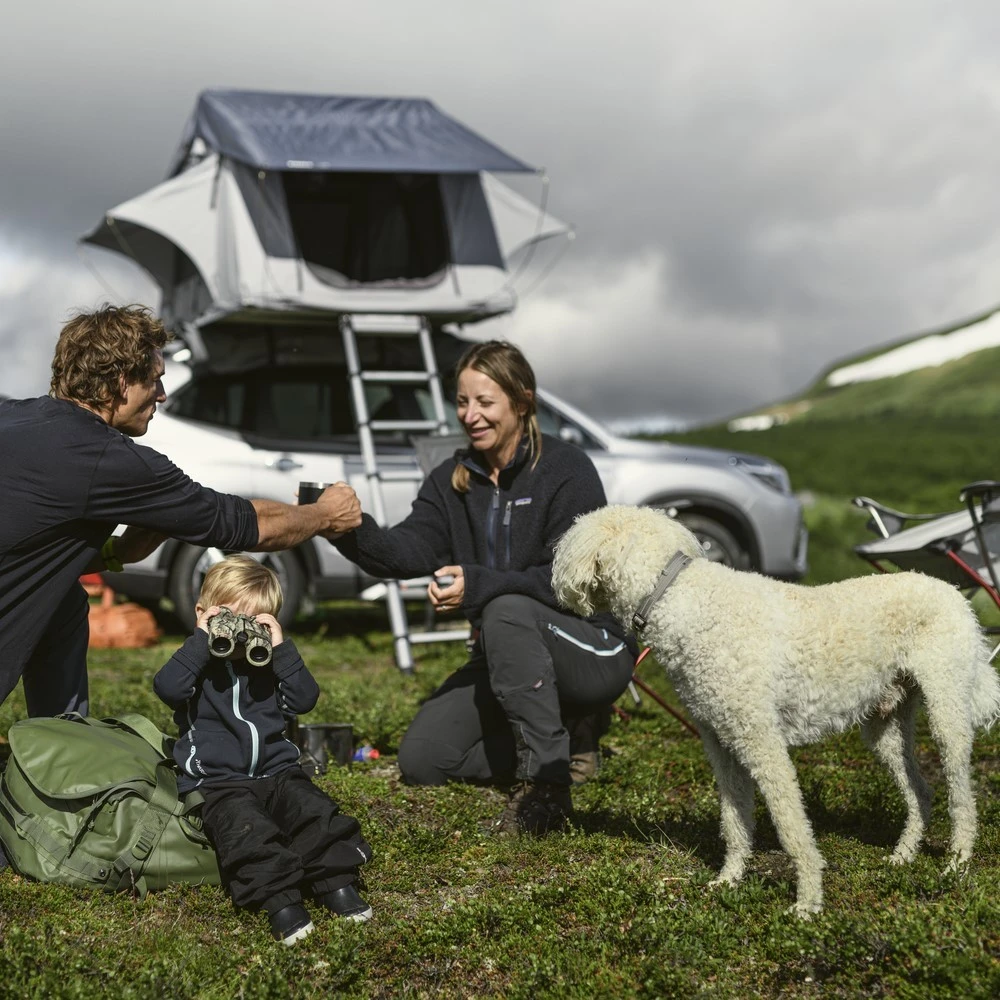 Thule Tepui Kukenam 3 - Haze Grey 901300 7 Thule Tepui Kukenam 3 - Haze Grey 901300 - Image 5